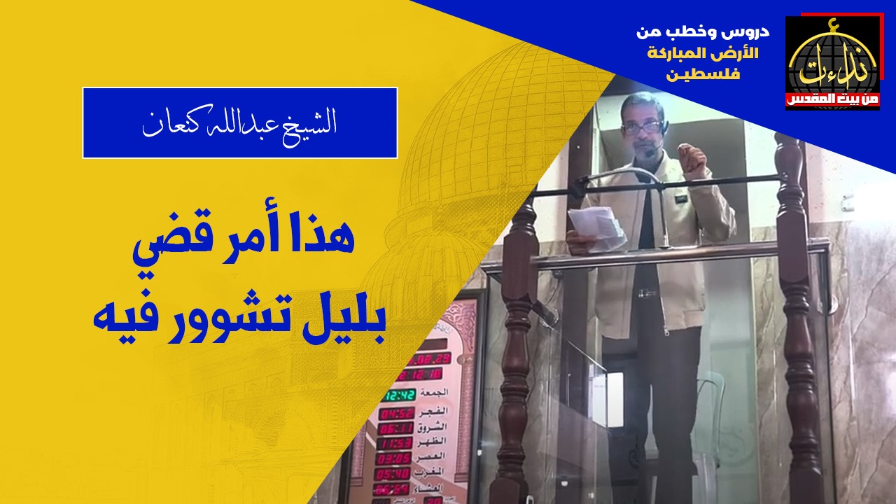 kn3an 11