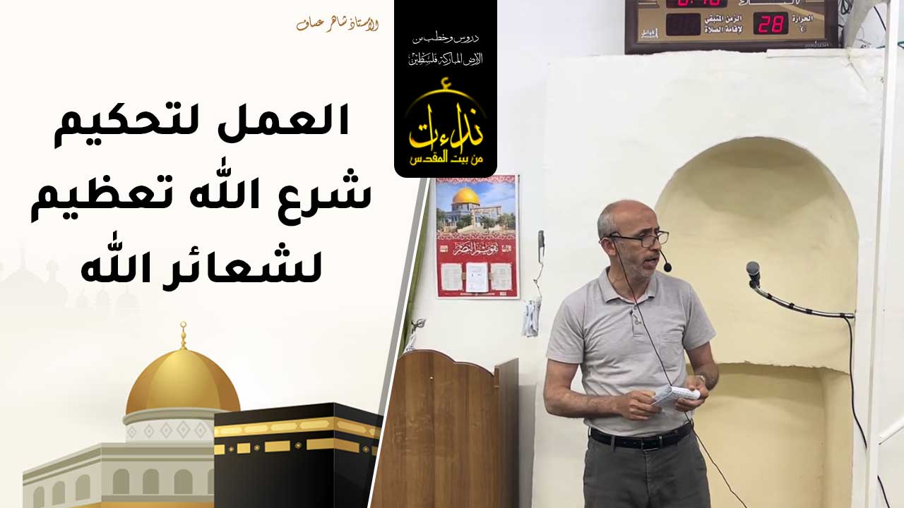 shaher z